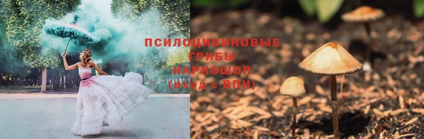 мескалин Грязовец