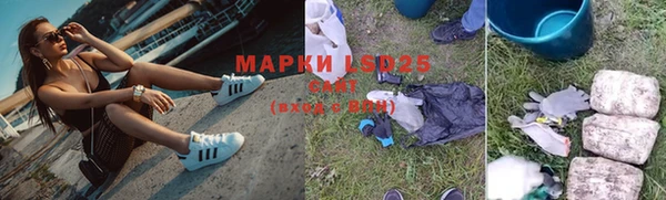 PSILOCYBIN Арсеньев